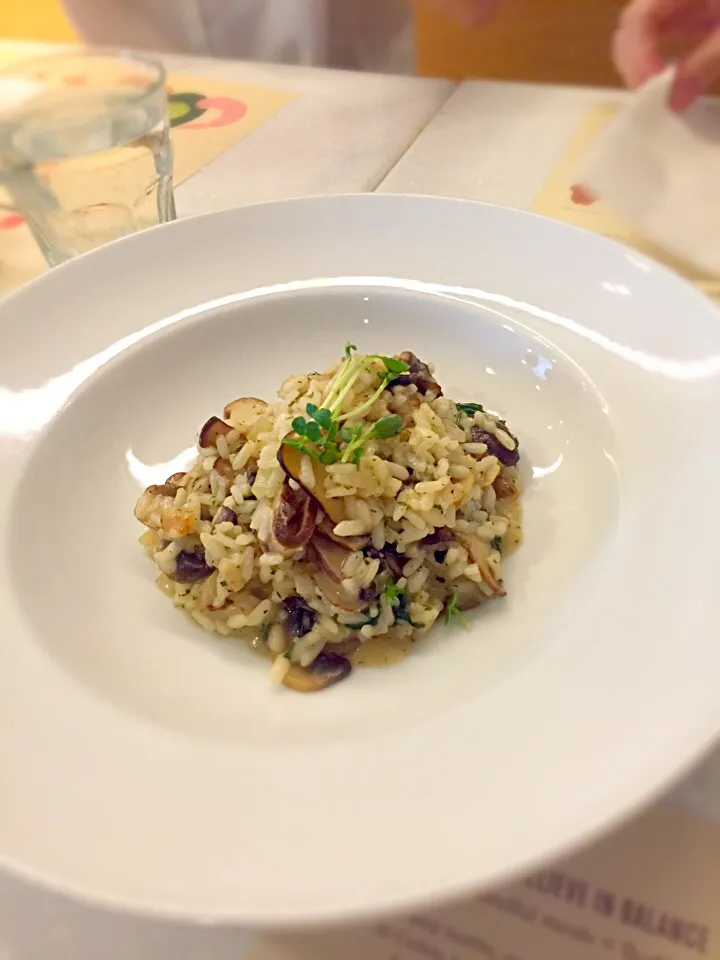 Mushroom risotto|해리さん