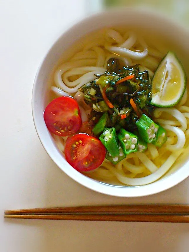 Snapdishの料理写真:おいしいだしとねばねば昆布でいただく冷たいおうどん|えみこさん