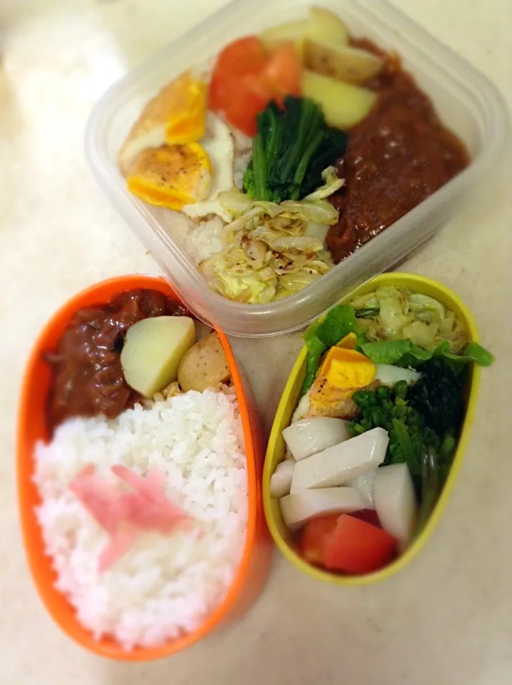 Today’s lunch box. ハニーお手製ハヤシライス♪|hoppycowさん