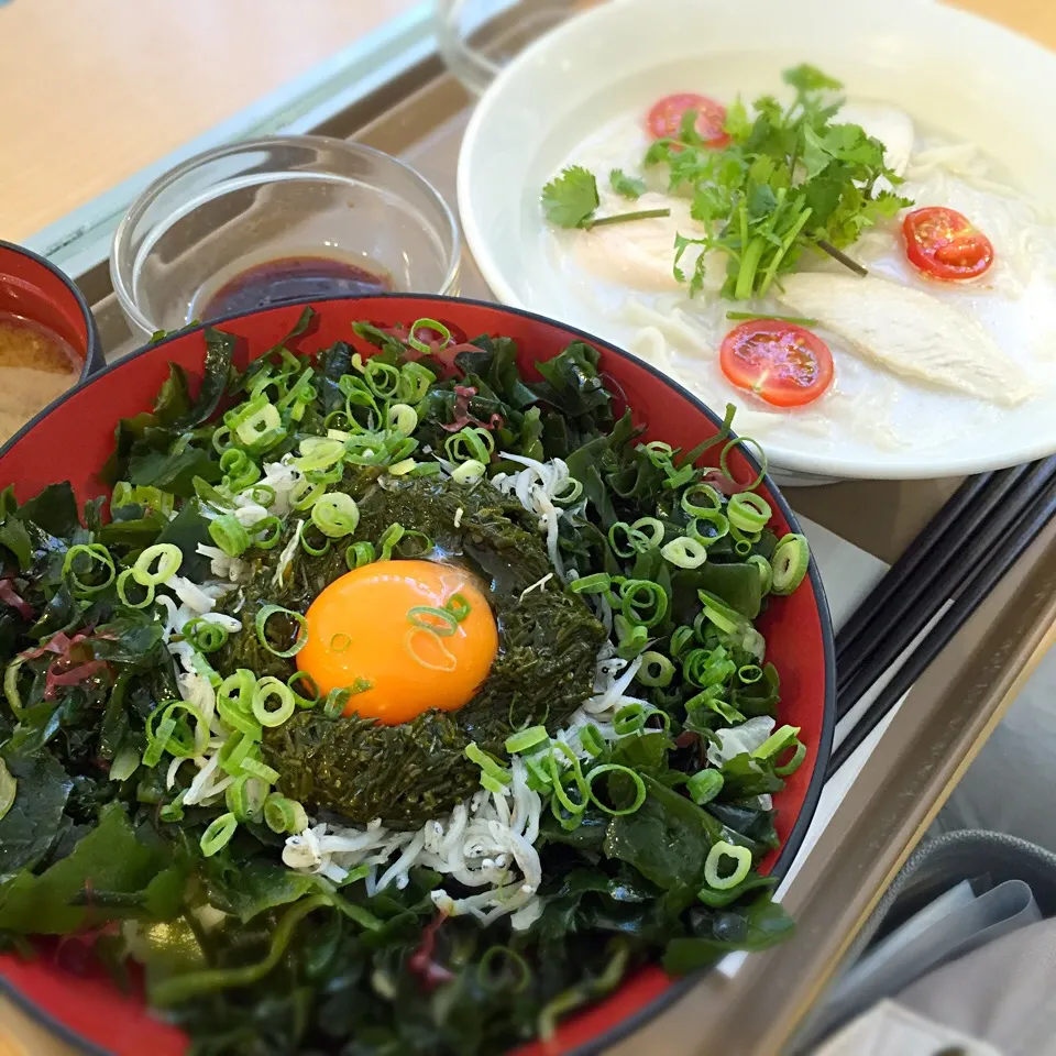 しらすとアカモクのネバネバ丼とチキンのフォー|りんごっちさん