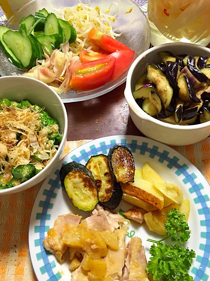 鶏胸肉の塩レモン焼き 添え野菜(ズッキーニ ポテト パセリ) オクラのおかか和え 茄子の漬物 サラダ|掛谷節子さん