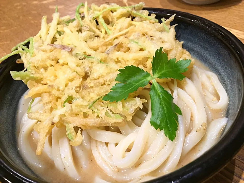 最近、おからこんにゃく麺ばかりだったから、昨夜はホンモノのうどんを頂きましたわ🍜|にゃあ（芸名）さん