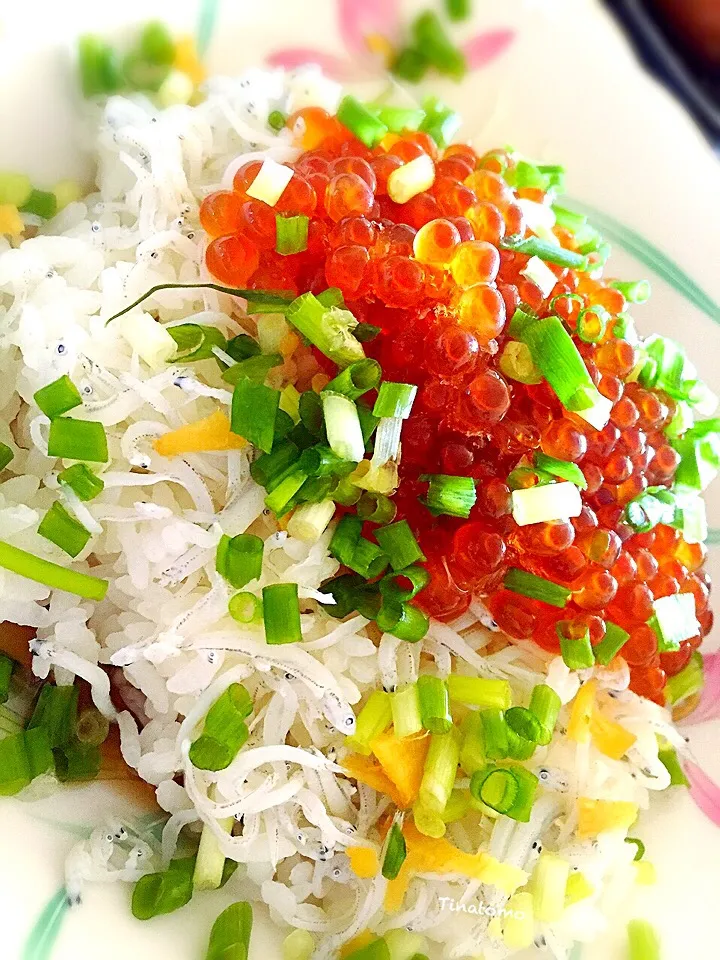 イクラの醤油漬けとシラスの紅白丼！|Tina Tomoko😋さん