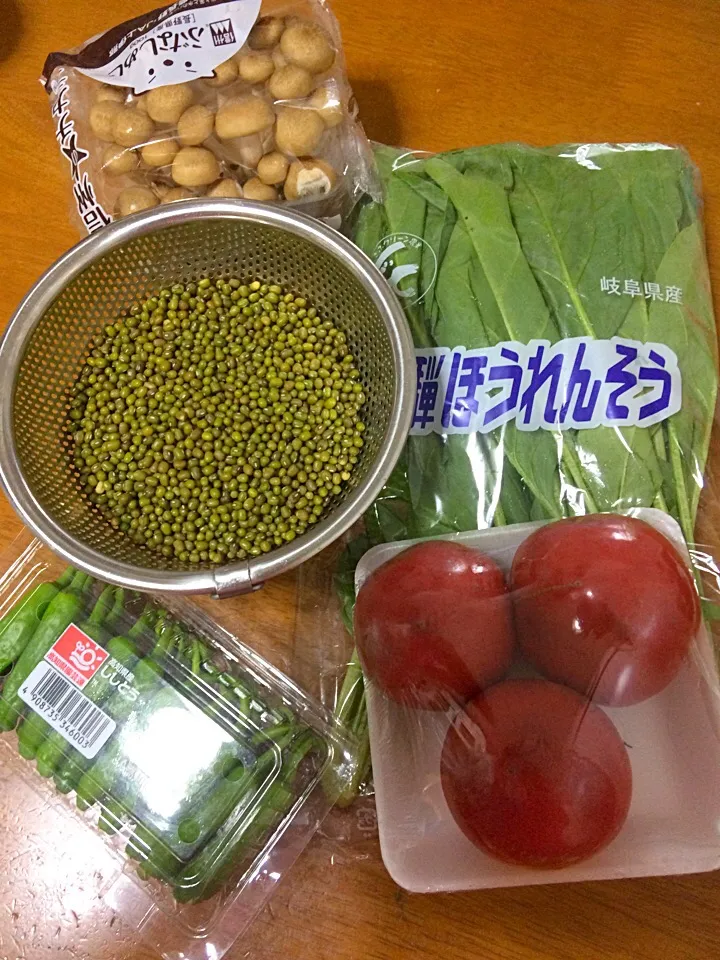 Snapdishの料理写真:Ginisang Munggo|Food Gardenさん