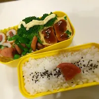 7/23 お弁当|ねこ。さん