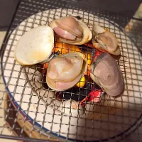 Snapdishの料理写真:七輪で焼きハマグリ|じゅうさんさん