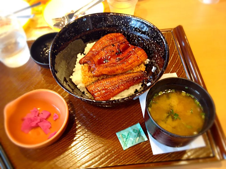 うなぎ丼|チビミミさん