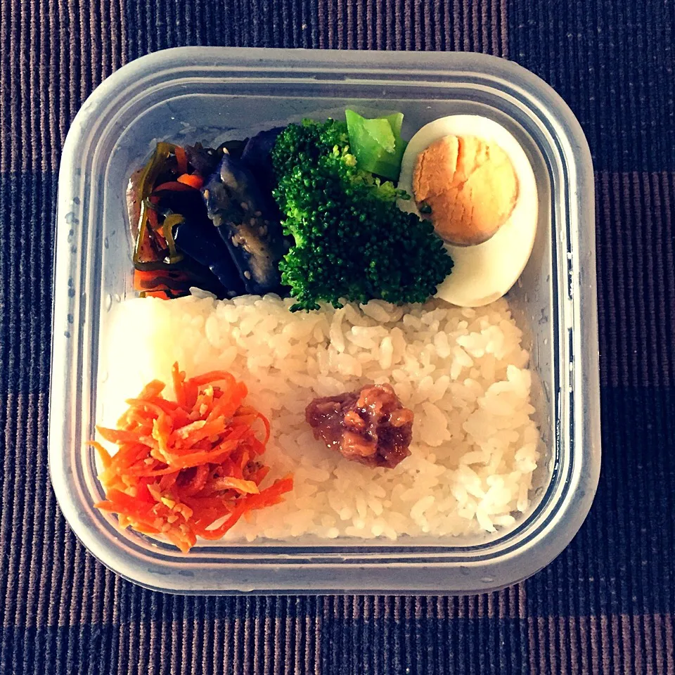 Snapdishの料理写真:常備菜だらけのお弁当|あーしょかぽんさん