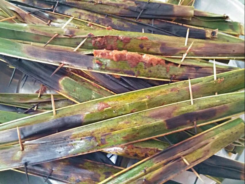 Otak-otak Terengganu|FooDin'sさん