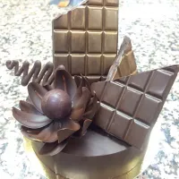 Snapdishの料理写真:chocolate showpiece|Gaga Leiさん