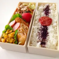 Snapdishの料理写真:7/24 旦那さんのお弁当