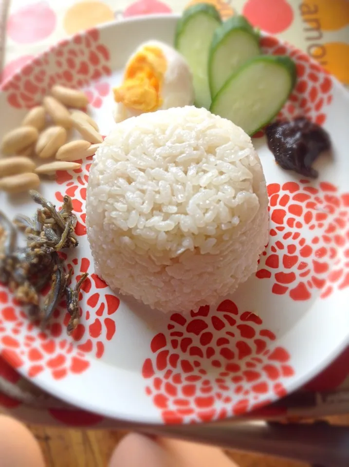 Nasi lemak 日本米|CHOOtaitaiさん