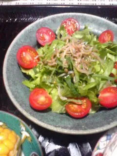 Snapdishの料理写真:スモークチキンのお供は野菜|食楽猫＠過労死予備群さん