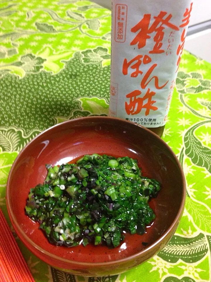 ヌメヌメ野菜の橙ポン酢かけ。オクラ、蔓紫、モロヘイヤ、青葱を茹でて、勝浦で買ってきた橙ポン酢で和えました！|kctreeさん