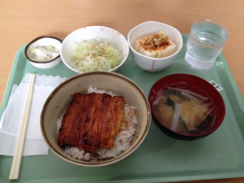 鰻丼|おっちさん