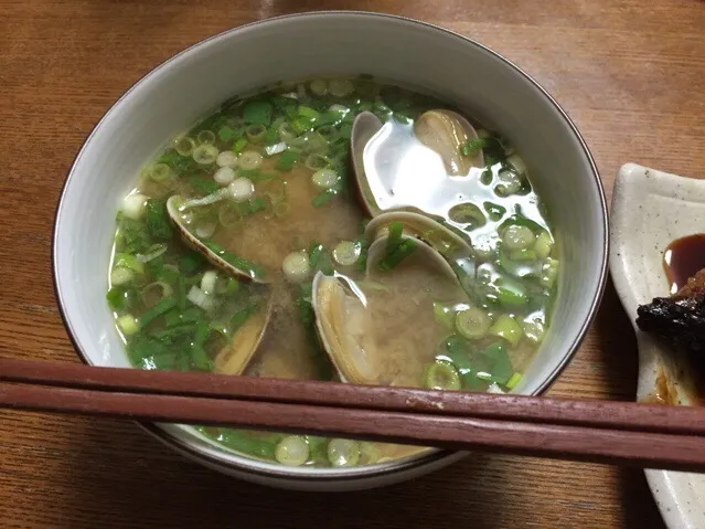 アサリの味噌汁❗️٩꒰｡•◡•｡꒱۶✨|サソリさん