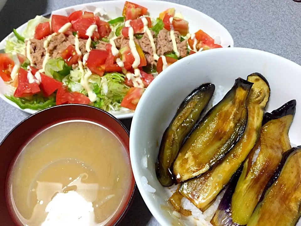 蒲焼丼(ナス)、玉ねぎモヤシ味噌汁、ツナサラダ(トマト、ピーマン、キャベツ、レタス、シーチキン)|ms903さん