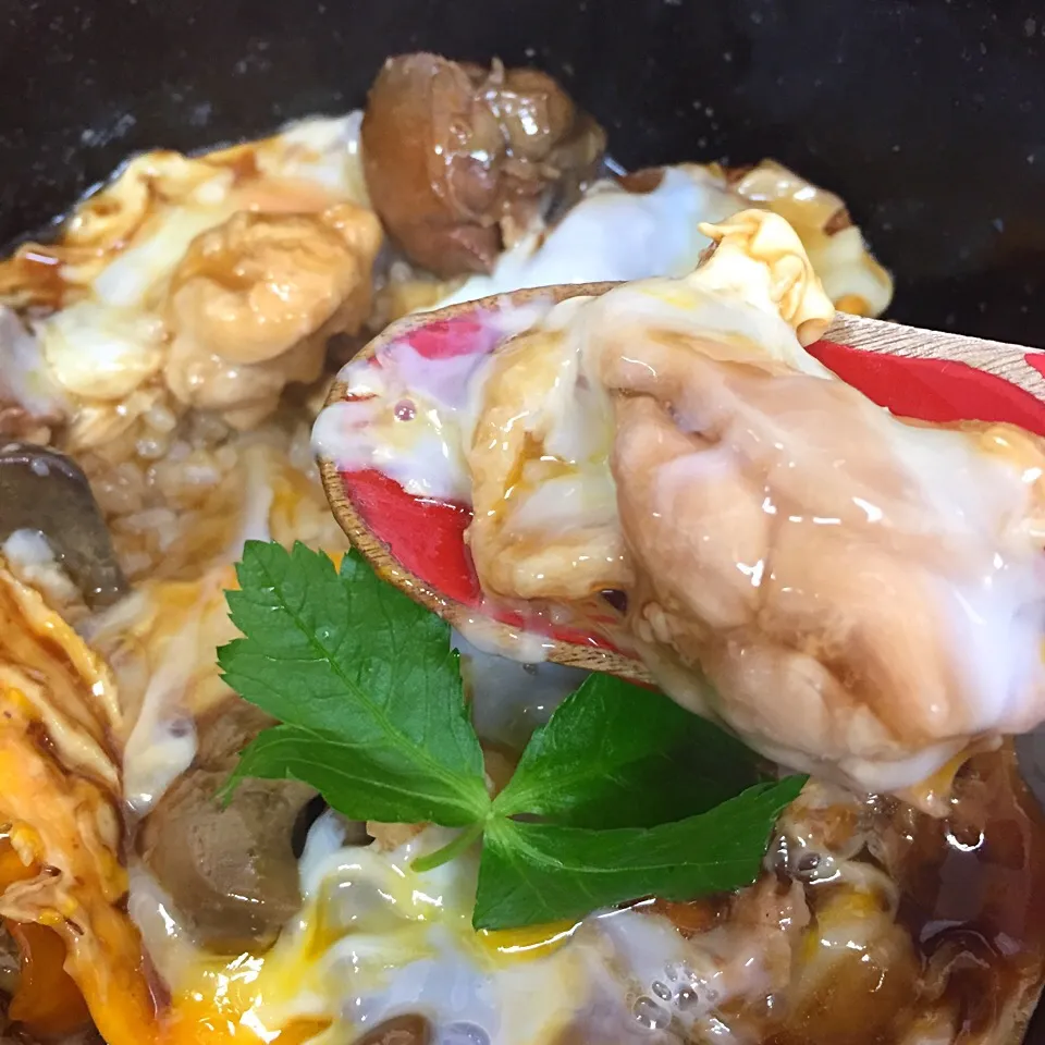 Snapdishの料理写真:しゃも親子丼 モツ入り|maixx ใหม่さん