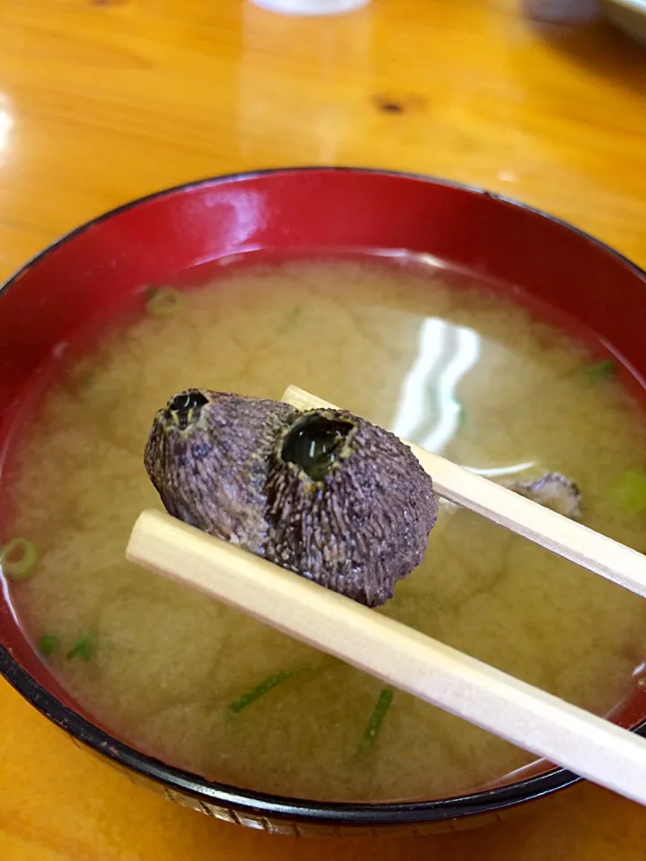 フジツボ入り味噌汁|ふくながさん