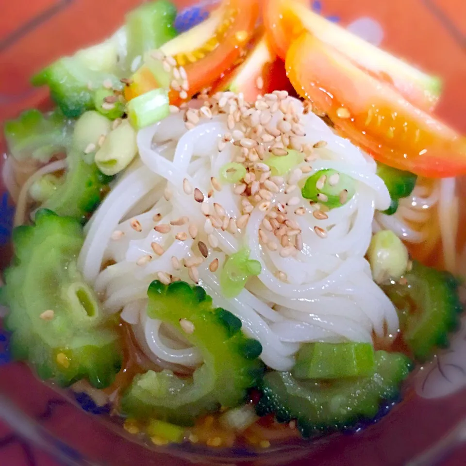 Cold noodles with lots of bitter gourd|Mary Annさん