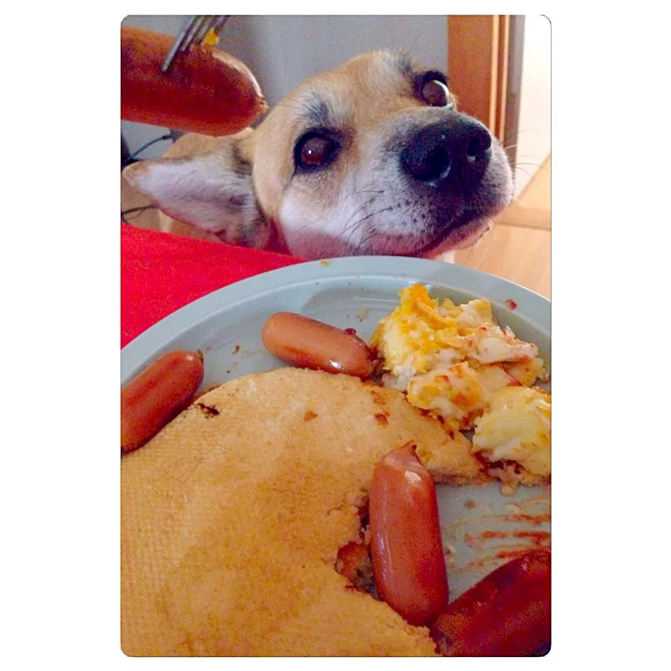 Lazy saturday breakfast🐇🌻|Atsuko Wendyさん