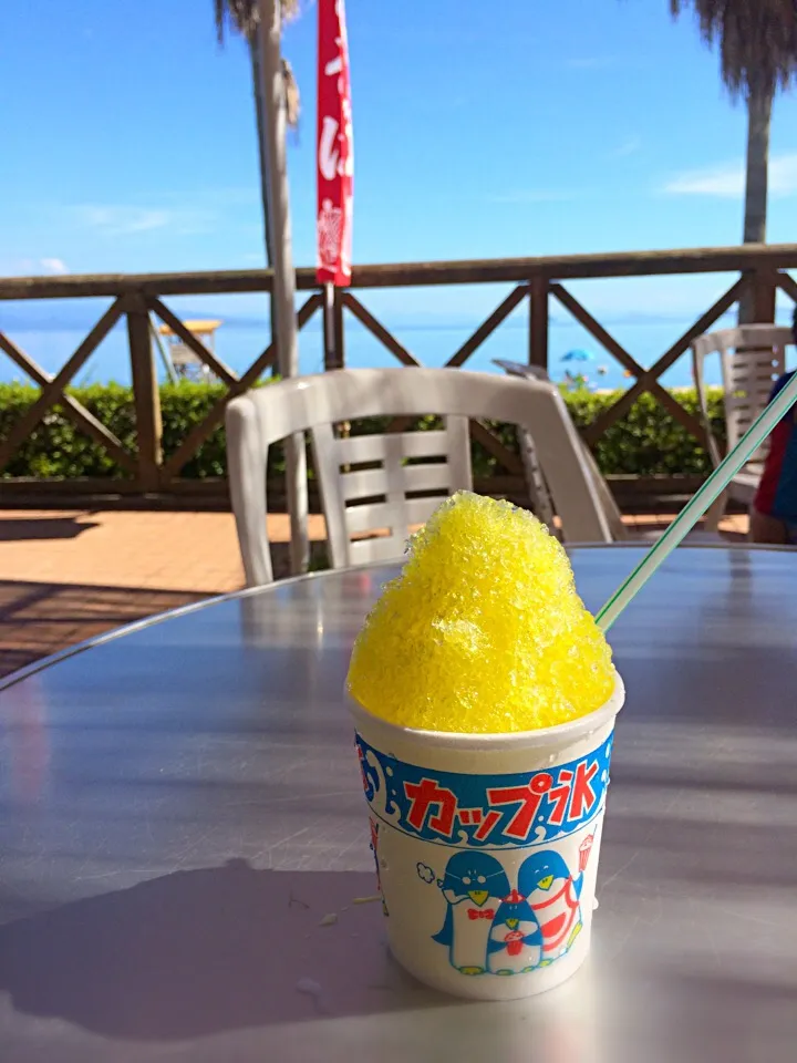 広島に夏が来ました！思いつきドライブで海へ。|さらば広島の長きまつげ(東京なう)さん