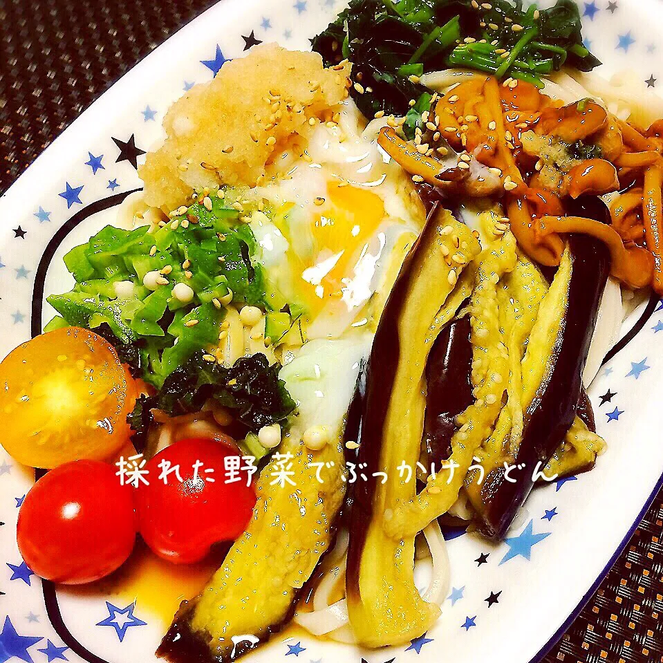 田舎で採れた野菜deぶっかけうどん(*^^*)|ばろんさん