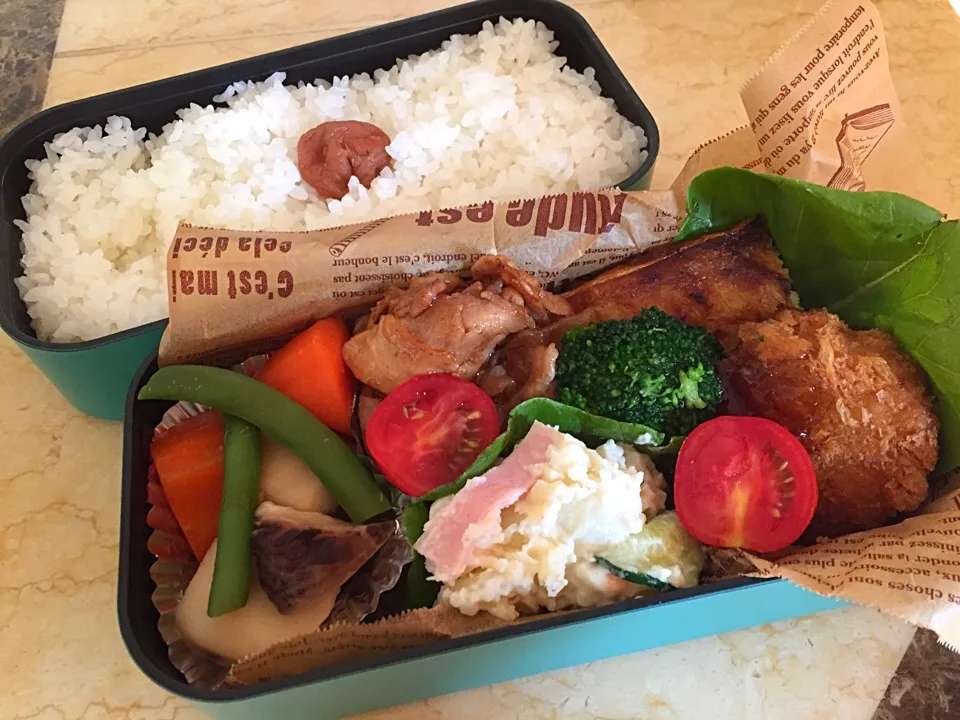 今日のBENTO|Eiko Saitouさん