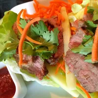 Snapdishの料理写真:Ginger Marinated Steak Wraps
with Pickled Cucumber, Carrot, and Jasmine Rice|@gmikulskyさん