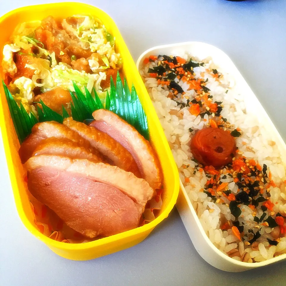 Snapdishの料理写真:今日のお弁当.ෆ̊౨ೄ೫̥͙‧·*|antiqueさん