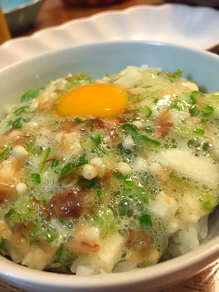 山芋とオクラのトロトロ丼|さんだーさん