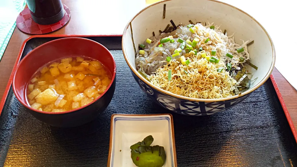 Snapdishの料理写真:三色しらす丼(´∀｀)
生・揚・焼しらす☆|Sayopuさん