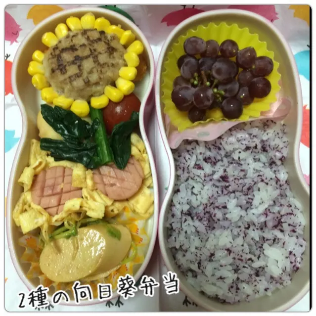 2種の向日葵弁当|こむぎさん