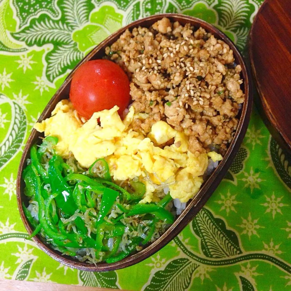 赤味噌風味鶏そぼろの三色ご飯弁当|kctreeさん