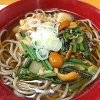 Snapdishの料理写真:今日は温かい山菜そばを作りました^_^|Michii  Nitikanさん