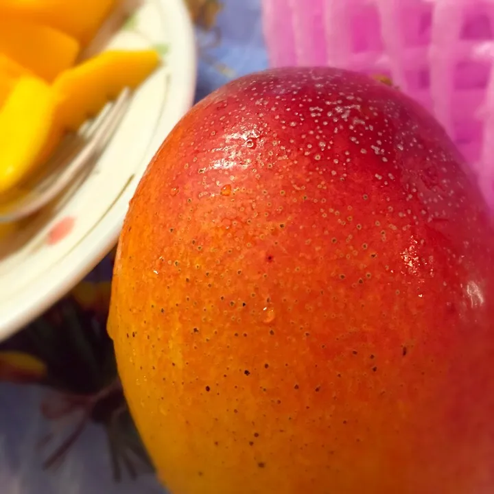 Miyazaki Tropical Fruit MANGO|チェリーリンさん