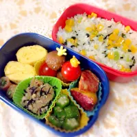 Snapdishの料理写真:お弁当 ( 2015.7/30 )|かなこさん