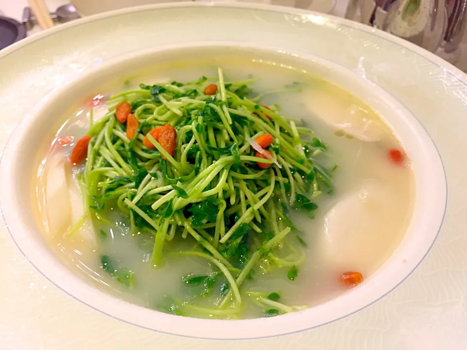 Poached pea sprouts in soup with Chinese yam & red dates|Sky Blueさん