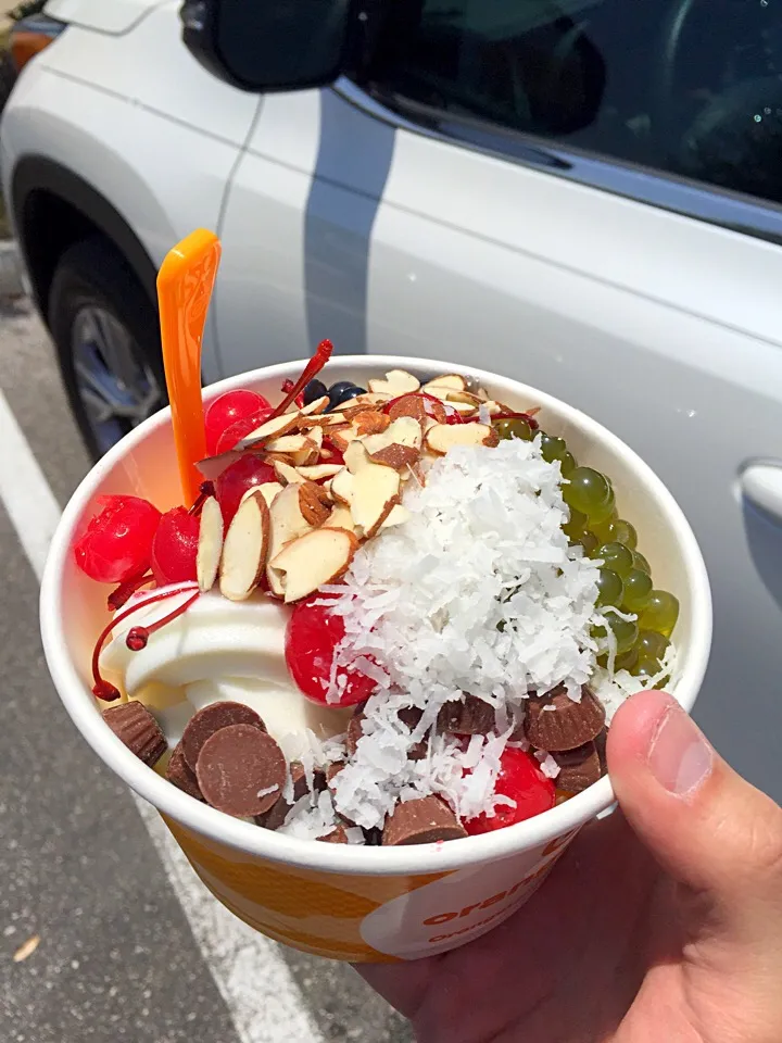 My wife is awesome. She bought me this from orange leaf. I love you my sweetheart|huy toさん