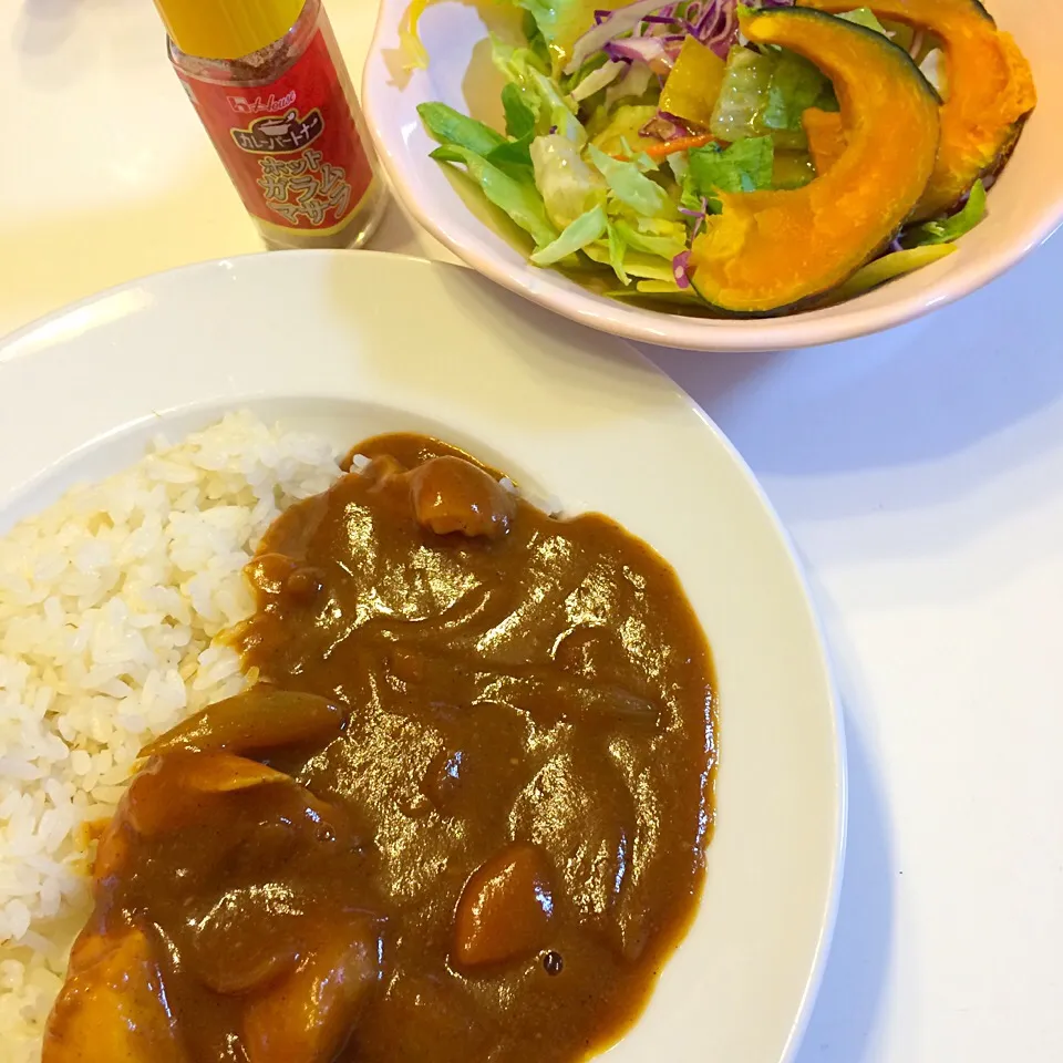 ジャワのスパイシーカレー辛くて美味しい♪夏はカレーだね♡7/31|ちび太さん