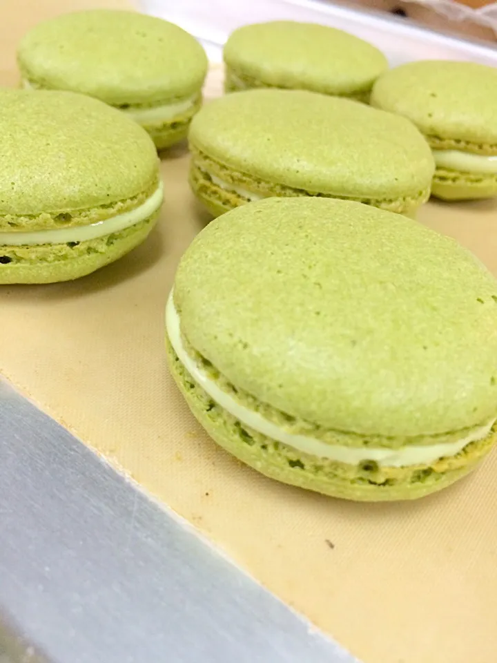 Green Tea Macaron|willklhさん