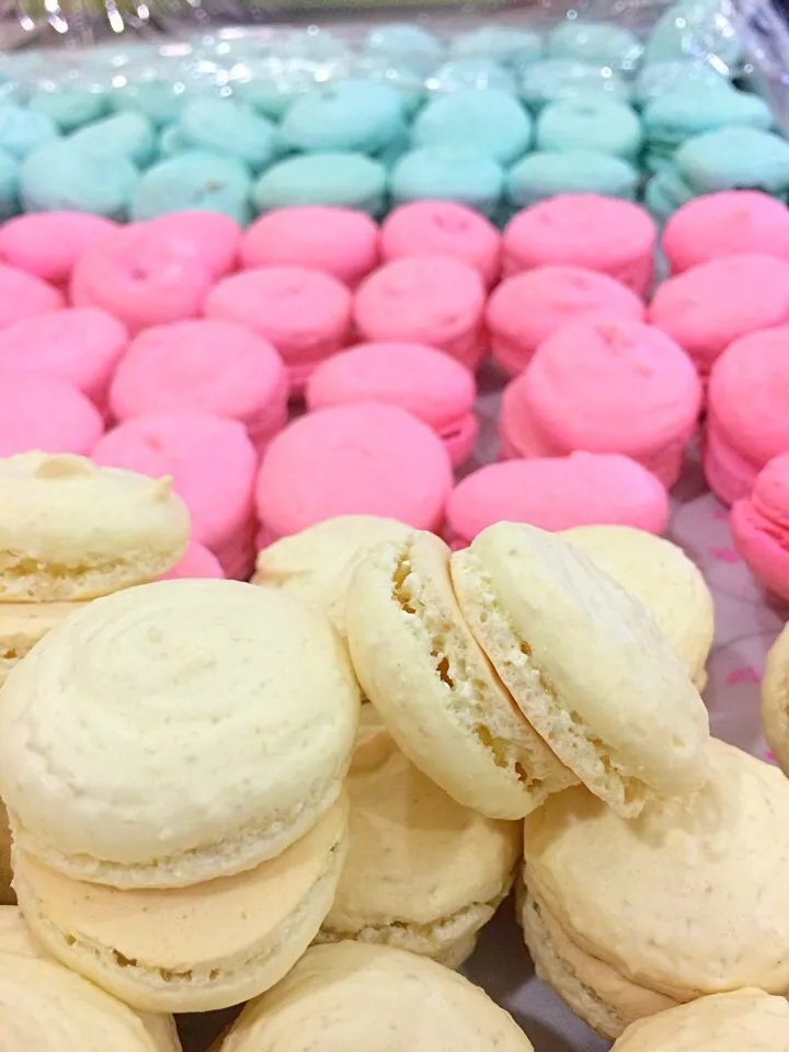 Macaron shells!|김지희さん