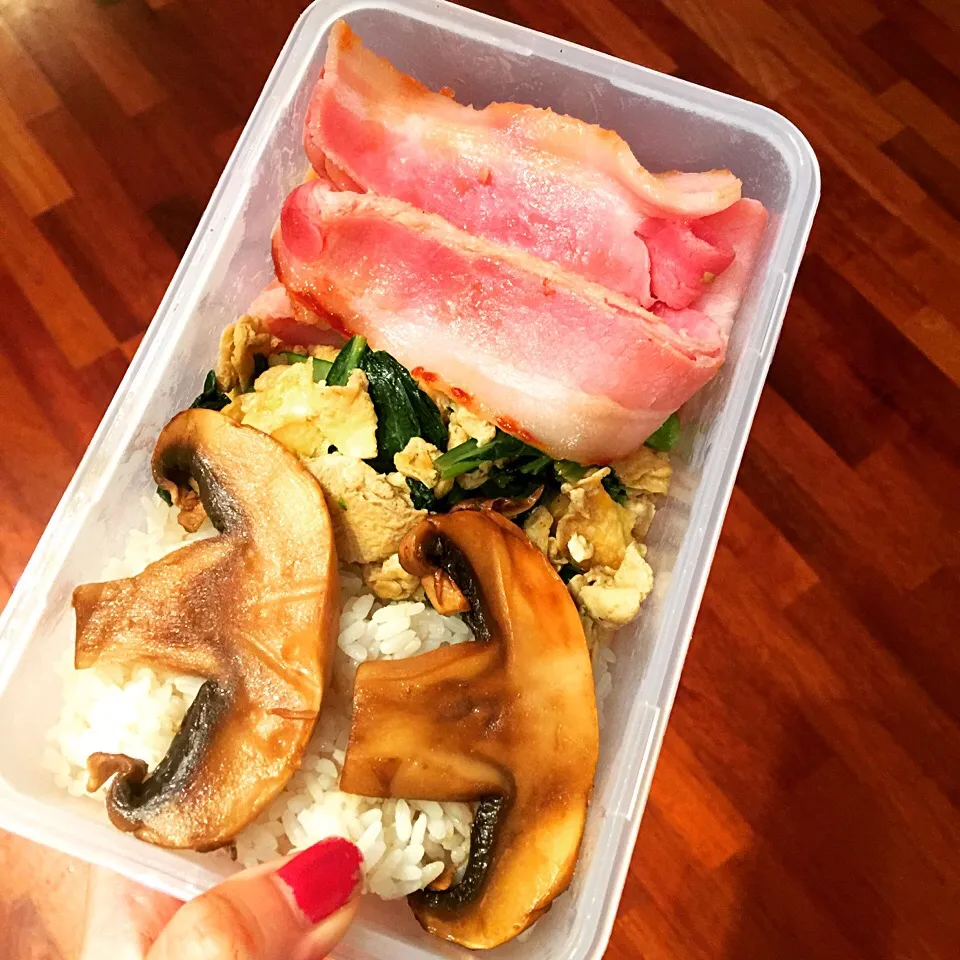 SCHOOL LUNCH BOX|siyi wangさん