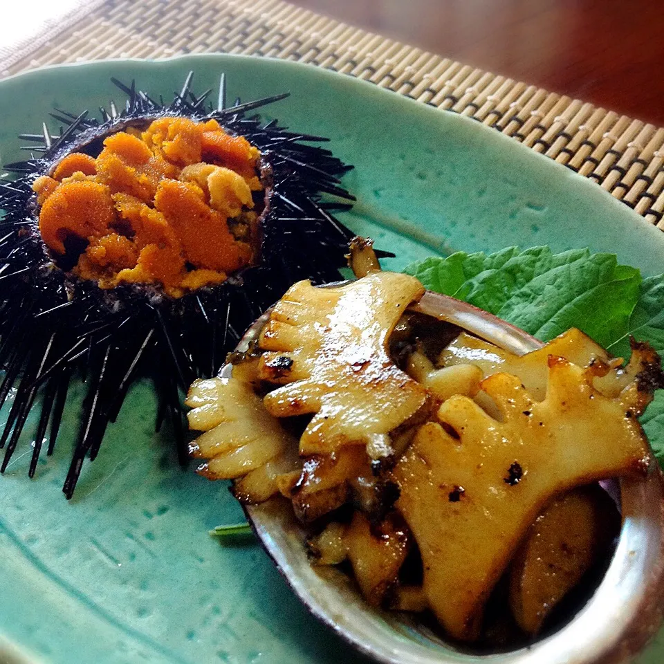 本日収穫〜 トコブシのバター醤油と蒸しウニ|qtyucoさん