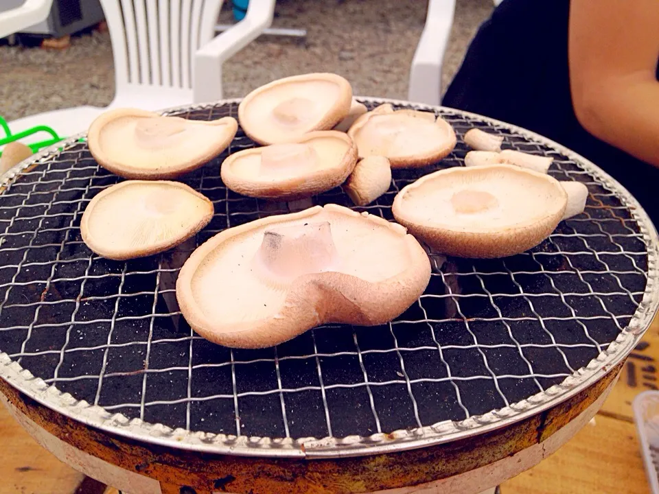 Snapdishの料理写真:焼きしいたけ|miyabiさん