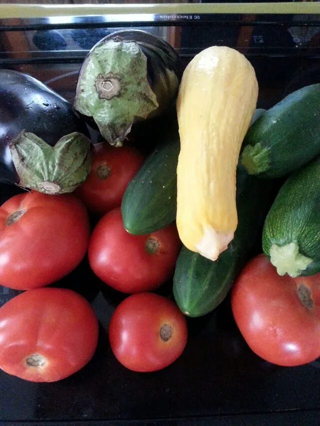 my haul from the veggie stand!!! so excited!|Polly Gelfusoさん