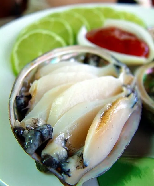 鲍鱼刺身。。。raw abalone|steven z.y.さん