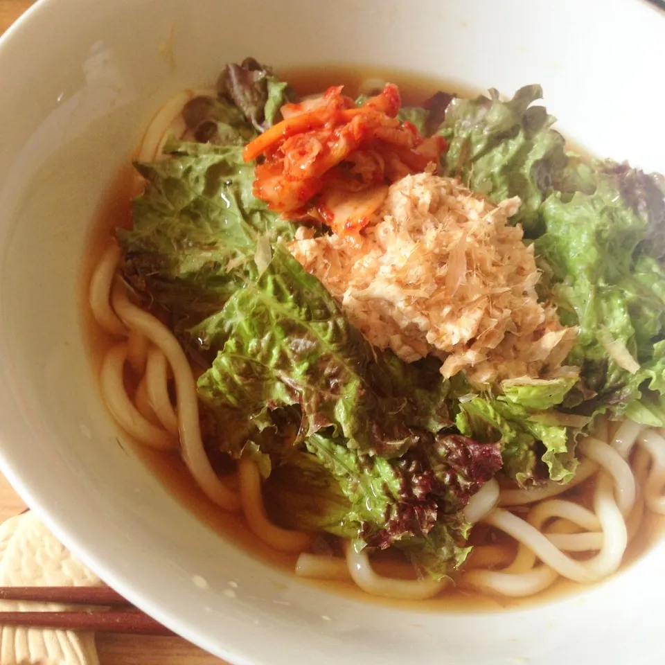 昼ごはん サラダうどん|はやしさん