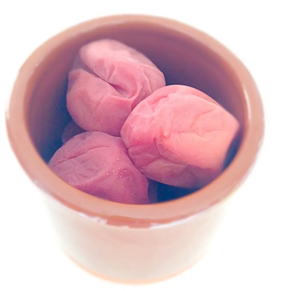 手作り梅干し|えりさん