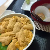 Snapdishの料理写真:ウニ丼|Amiさん